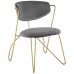 Prevail Gold Stainless Steel Dining and Accent Performance Velvet Chair in Gold Gray