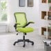 Mesh Office Chair in Green