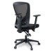 Define Mesh Office Chair in Black