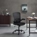 Exceed Mesh Office Chair in Black