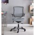 Mesh Office Chair in Gray