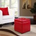 Volt Storage Upholstered Vinyl Ottoman in Red