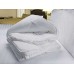 Golden Suite Comforters