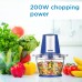 4-CUP DANBY FOOD CHOPPER DFC40C1SSDB