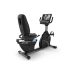 TRUE FITNESS RECUMBENT BIKE RC900