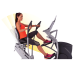 Octane Fitness xRide Recumbent Elliptical xR6