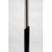 Modern Black and Brushed Nickel Floor Lamp