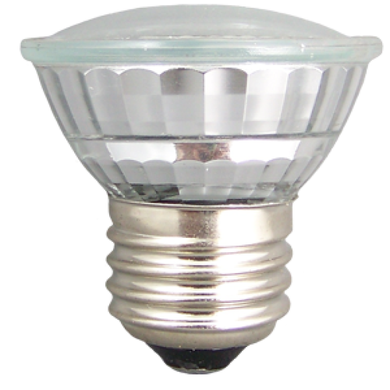 LED MR 16 ACCENT BULB FOR INDOOR/OUTDOOR USE