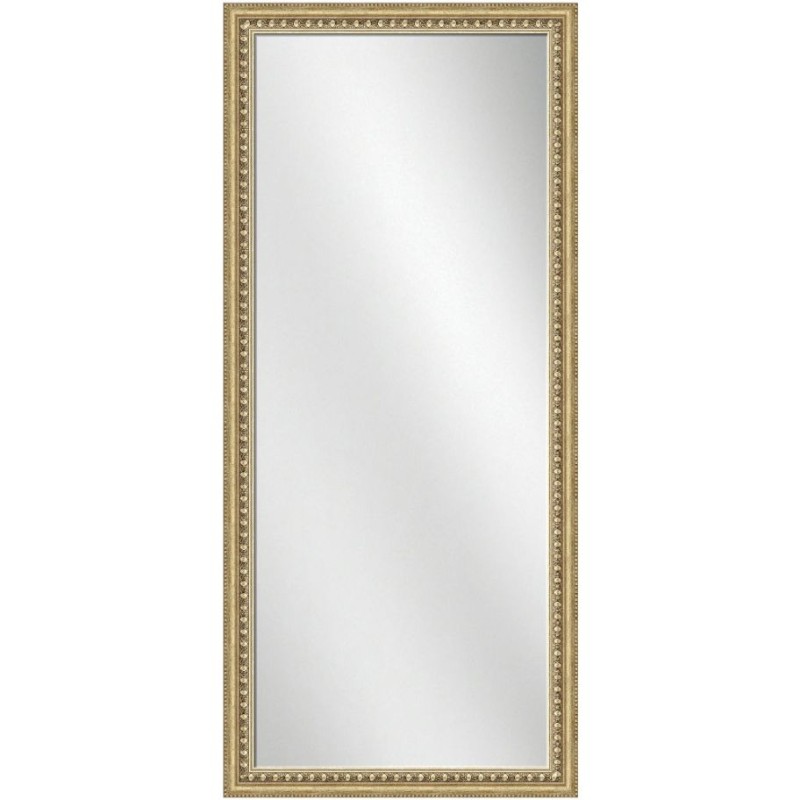 Full Length Mirror Silver Frame 24 x 60