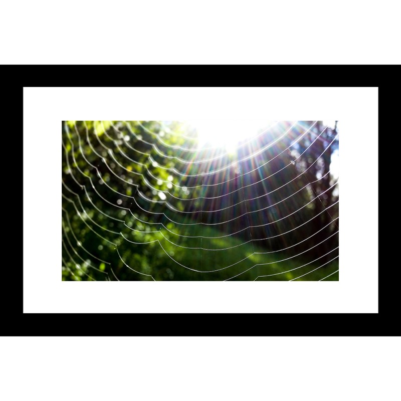 Abstract 24 X 36 Framed Available In Custom Sizes