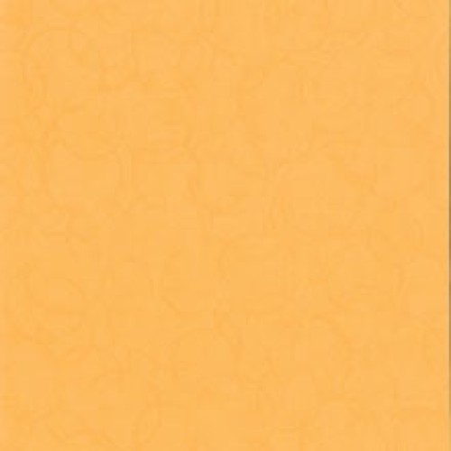 Effervescent Tangerine Wall Vinyl