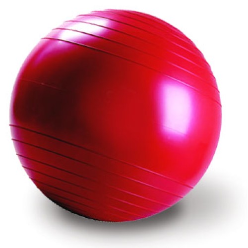 Stability Xercise Ball