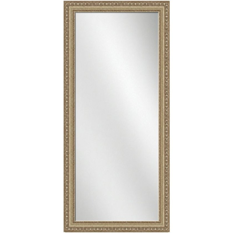 Full Length Mirror Silver Frame 24 x 60