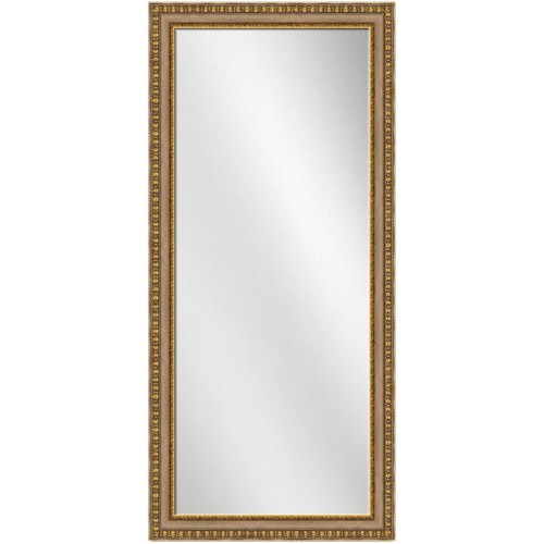 Full Length Mirror Silver w/gold Frame 24 x 60