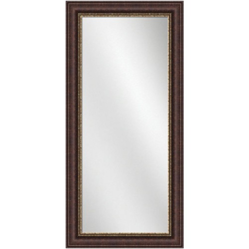 Full Length Mirror Antique Bronze Frame 24 x 60