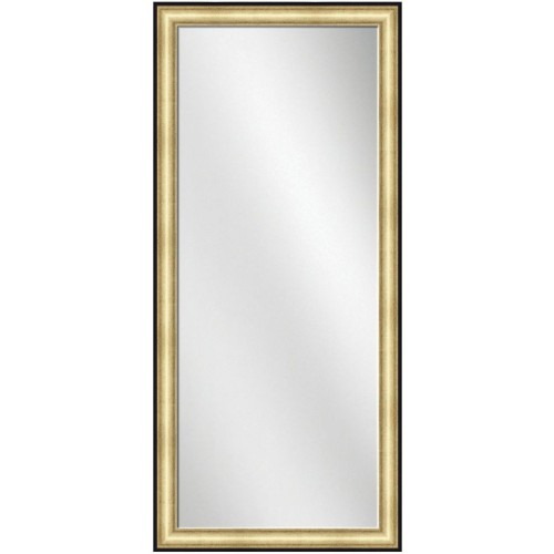 Full Length Mirror Gold w/ Black line Frame 24 x 60