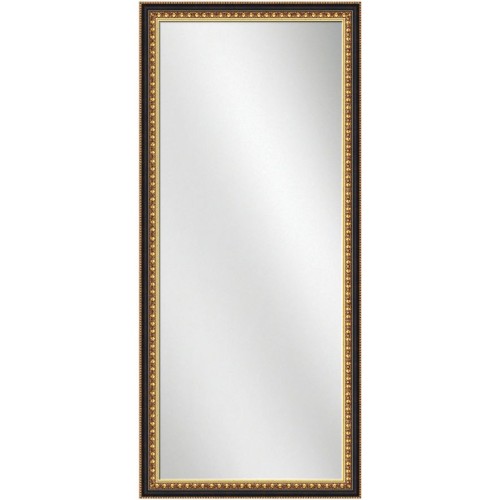 Full Length Mirror Gold Frame w/Black 24 x 60