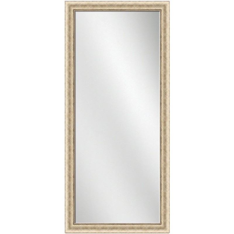 Full Length Mirror Silver Frame 24 x 60