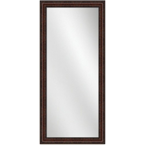 Full Length Mirror Bronze Frame 24 x 60