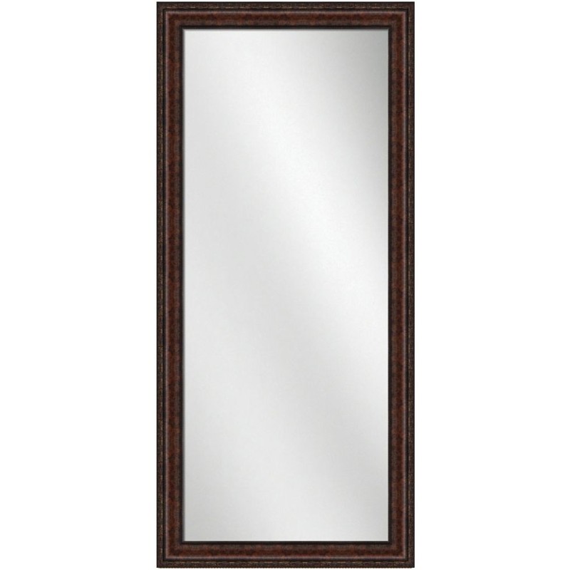 Full Length Mirror Bronze Frame 24 x 60