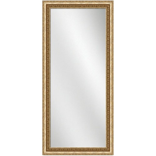 Full Length Mirror Pale Gold Frame 24 x 60