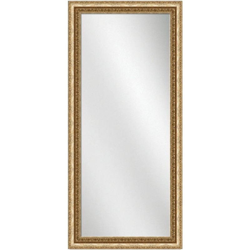 Full Length Mirror Pale Gold Frame 24 x 60