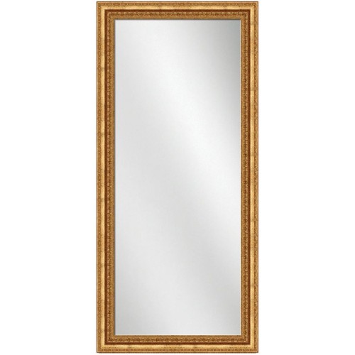 Full Length Mirror Gold Frame 24 x 60