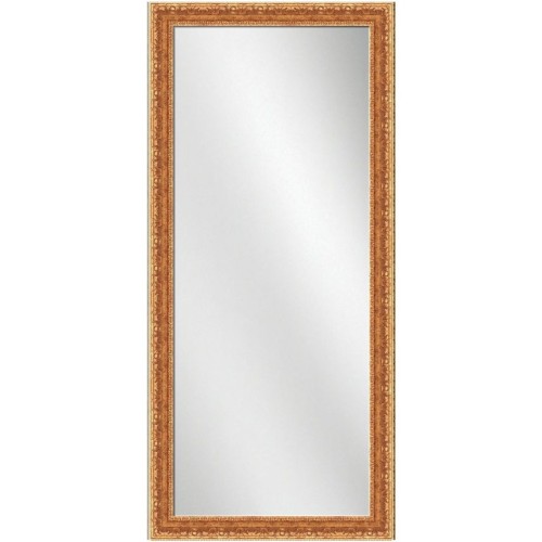 Full Length Mirror Gold Frame 24 x 60