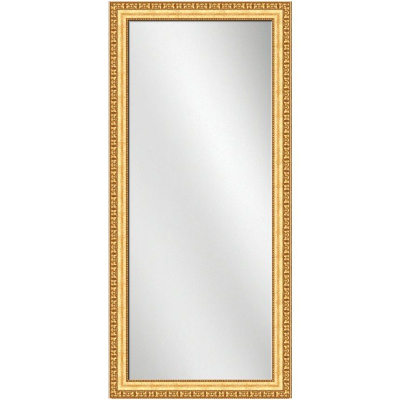 Full Length Mirror Gold Frame 24 x 60