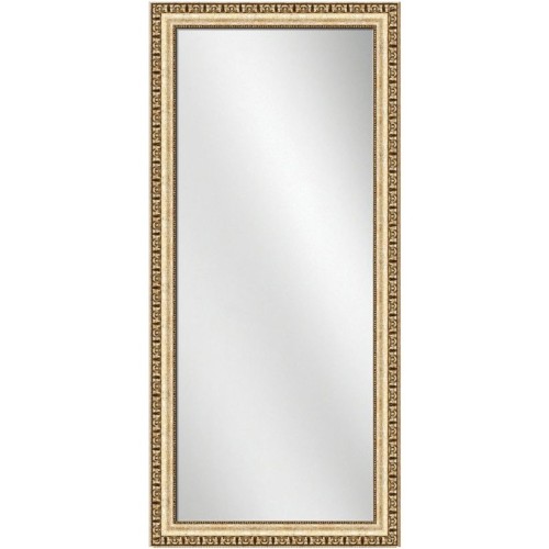 Full Length Mirror Silver Frame 24 x 60