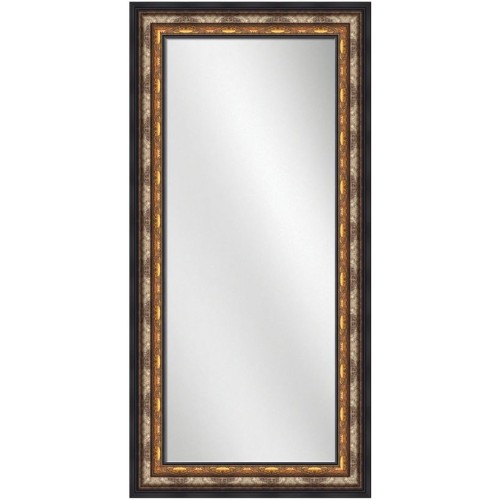 Full Length Mirror Silver w/ gold Frame 24 x 60