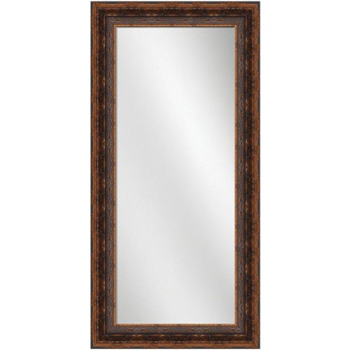 Full Length Mirror Antique Bronze Frame 24 x 60