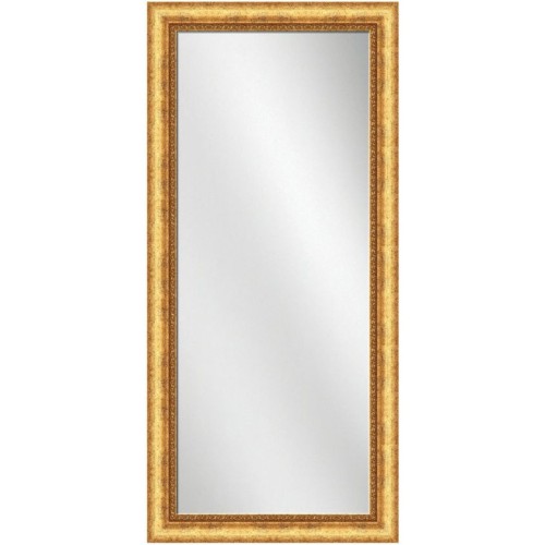 Full Length Mirror Gold Frame 24 x 60