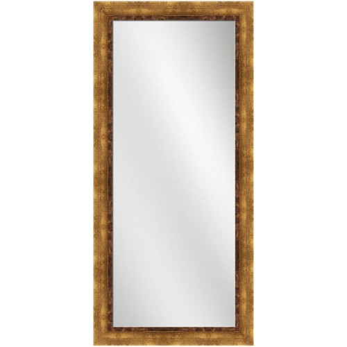 Full Length Mirror Gold Frame 24 x 60