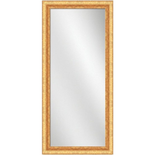 Full Length Mirror Gold Frame 24 x 60