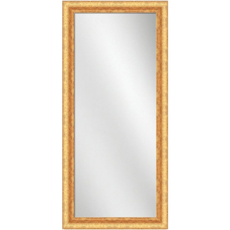 Full Length Mirror Gold Frame 24 x 60