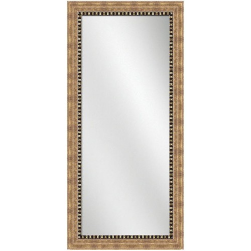 Full Length Mirror Champagne Frame 24 x 60