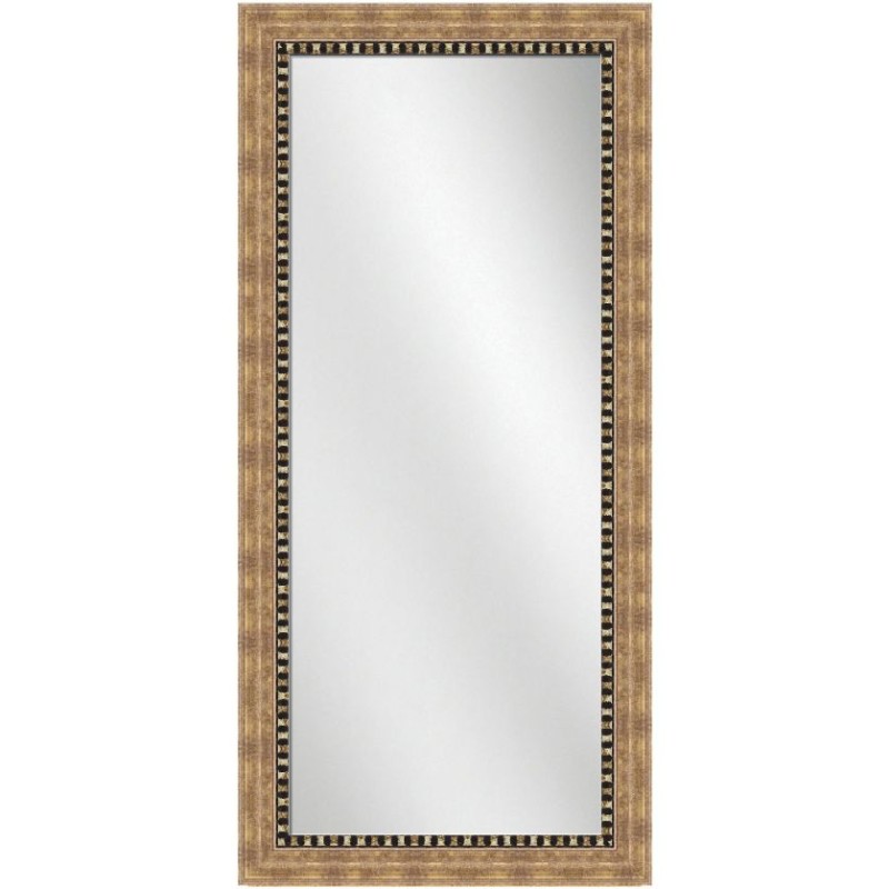 Full Length Mirror Champagne Frame 24 x 60