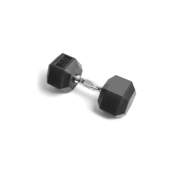 York 2024 dumbbells 12.5 pounds each