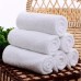 Economy or Garnet Bath Towel