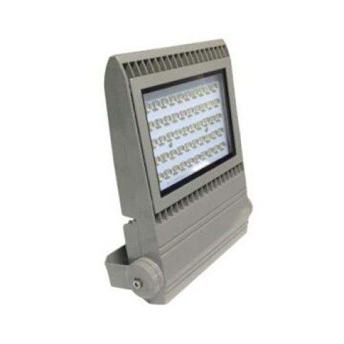 LED Flood Light