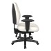 43808-R101 Ergonomics Chair